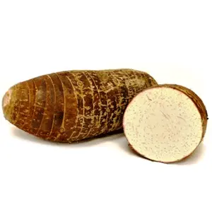 Yautia