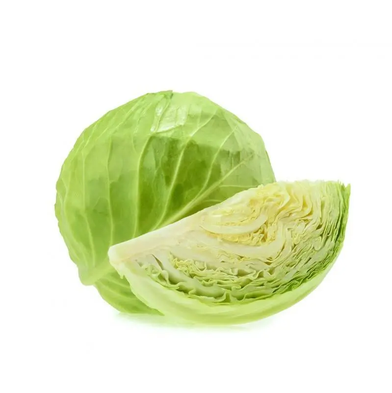 Repollo
